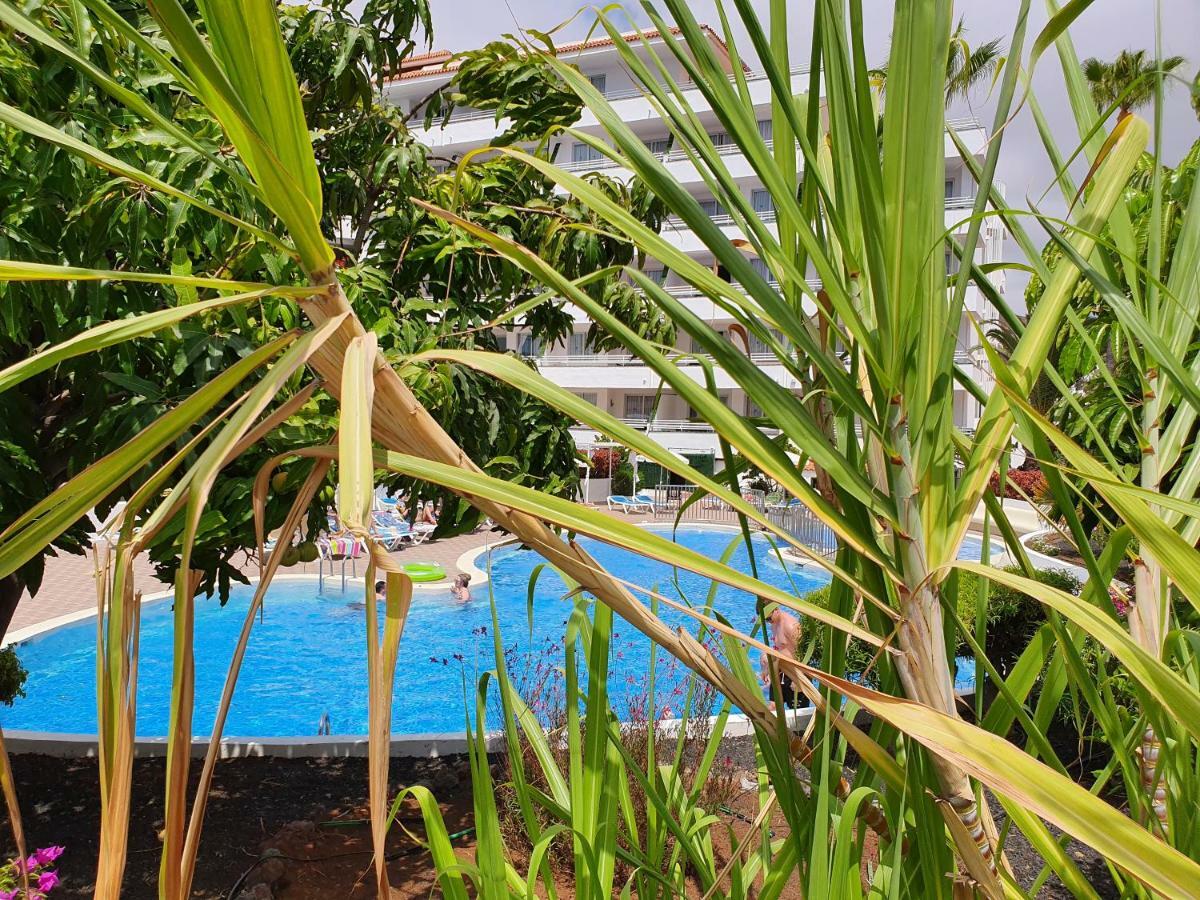 Spectacular Renovated Apartment, 5 Min To Camison Beach, With Aircon Arona  Dış mekan fotoğraf