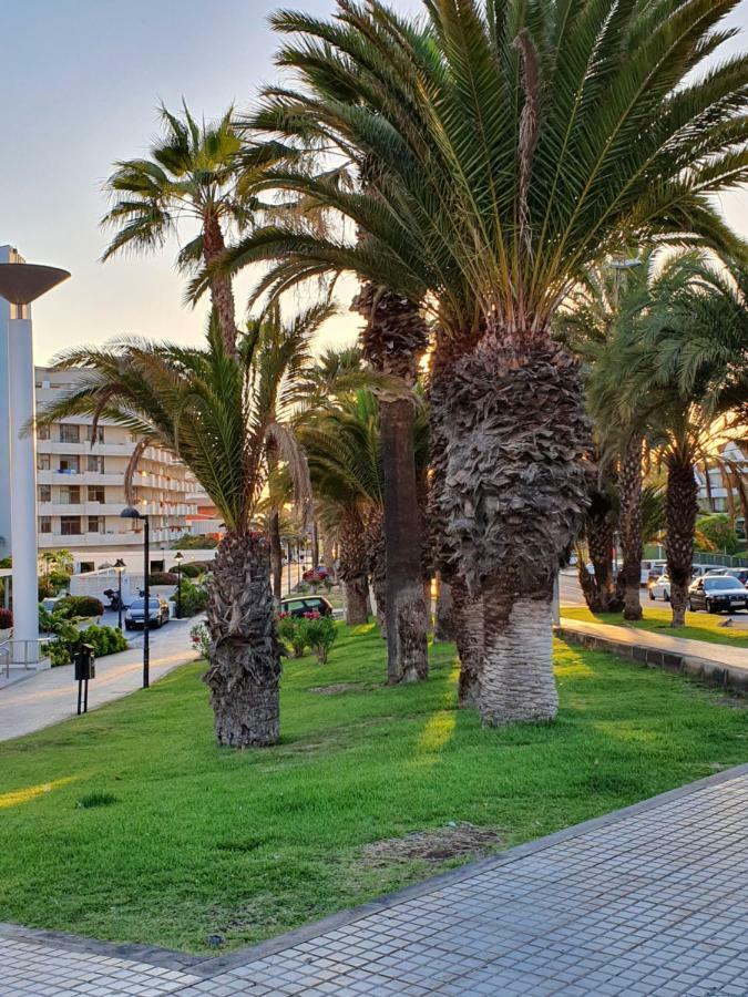 Spectacular Renovated Apartment, 5 Min To Camison Beach, With Aircon Arona  Dış mekan fotoğraf